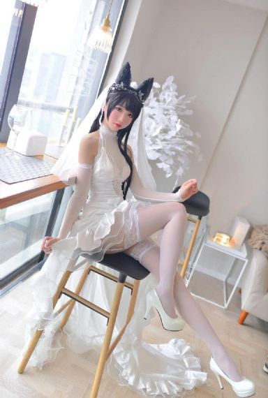 顶楼电视剧_DVD免费在线观看